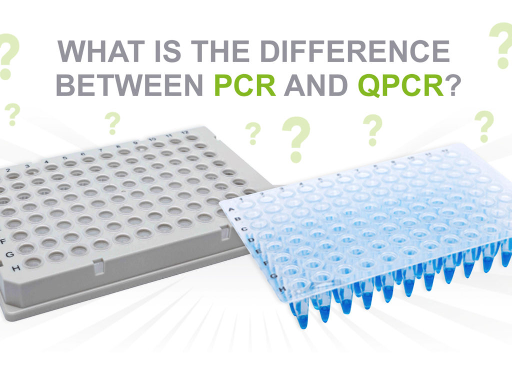 the-difference-between-pcr-and-qpcr