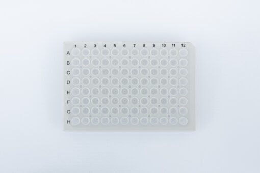 96 Well PCR Plate